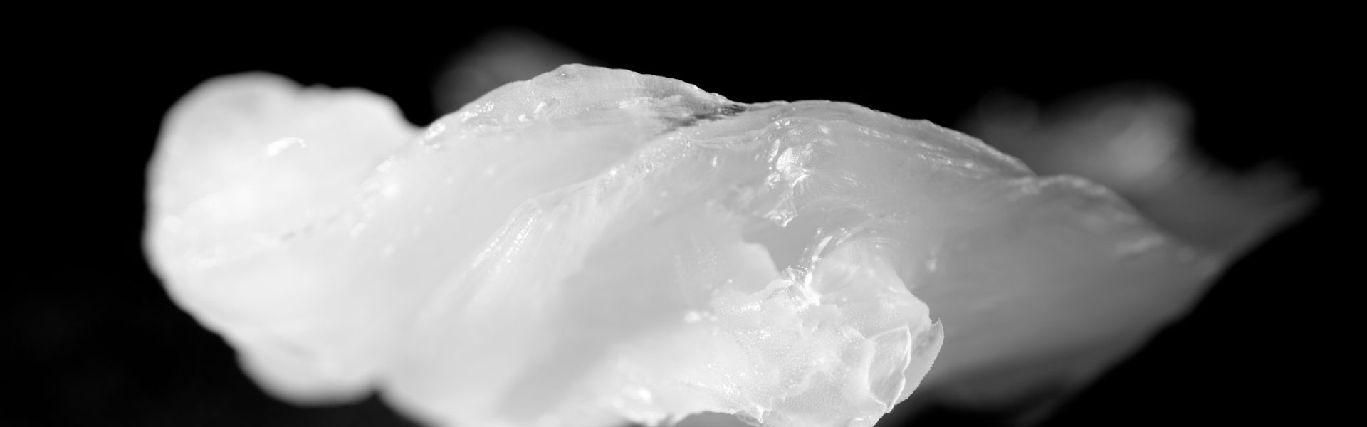 What Is Petroleum Jelly? Uses, Safety & Composition